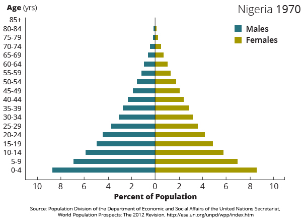 nigeria population pyramid