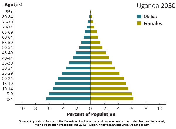 population pyramids
